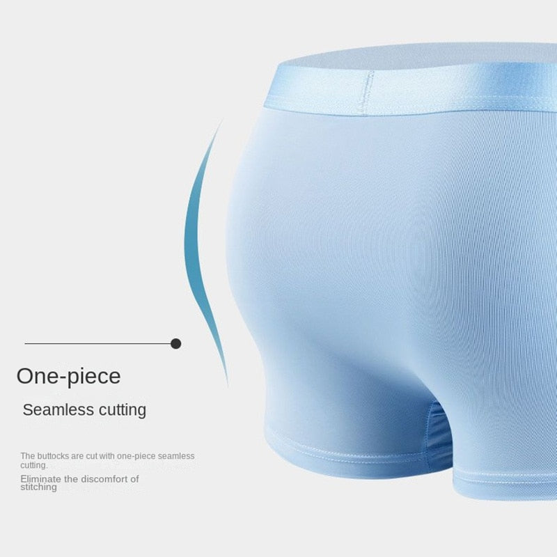 Alphabonix IceSilk Boxer Briefs – Kit of 4
